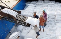Cơ hội cho xuất khẩu gạo Việt Nam năm 2024