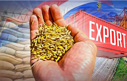 Xuất khẩu gạo Ấn Độ năm 2024 đối mặt nhiều thách thức