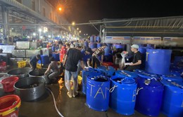 "Chợ cá lóc" ở TP Hồ Chí Minh nhộn nhịp ngày vía Thần Tài