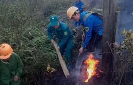 Hơn 800 người tham gia chữa cháy rừng tại Vườn Quốc gia Hoàng Liên