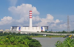 Ô nhiễm từ tình trạng tập kết trái phép tro xỉ của nhà máy nhiệt điện