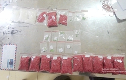 Bắt giữ đối tượng tàng trữ ma túy cùng súng đạn ở Ninh Bình