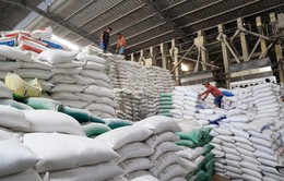 Xuất cấp hơn 1.444 tấn gạo cho 5 tỉnh