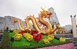 Linh vật rồng tại Quảng Bình thu hút khách tham quan dịp Tết Giáp Thìn