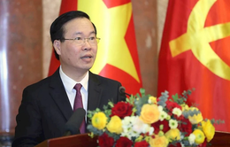 Chủ tịch nước Võ Văn Thưởng phê chuẩn Hiệp định Tương trợ tư pháp hình sự Việt Nam - Italy