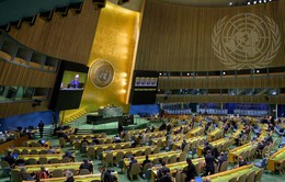Nghị quyết Đại hội đồng Liên hợp quốc về chống bài Hồi giáo