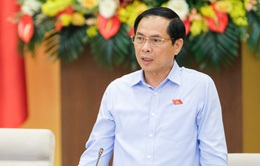 TRỰC TIẾP: Bộ trưởng Bùi Thanh Sơn trả lời chất vấn về lĩnh vực ngoại giao