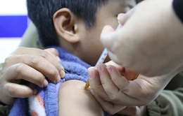 TP. Hồ Chí Minh đảm bảo nguồn vaccine phòng dại