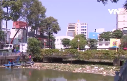 Tái ô nhiễm kênh rạch vì rác thải ở TP Hồ Chí Minh
