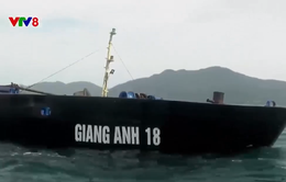 Khẩn trương hút dầu từ tàu gặp nạn trên biển Cù Lao Chàm