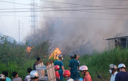 Liên tiếp xảy ra cháy tại các bãi cỏ ở Cần Thơ, thiệt hại hàng tỷ đồng