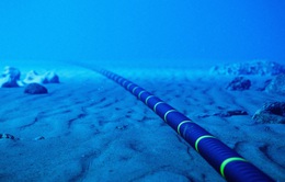 Cáp ngầm ở Biển Đỏ bị hư hại ghiêm trọng