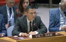 Việt Nam lên án các cuộc tấn công nhắm vào dân thường, kêu gọi ngừng bắn tại Gaza