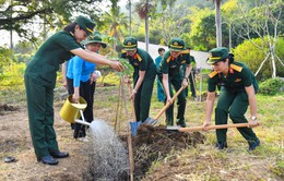 Kiên Giang: Trồng 1000 cây xanh tại Khu di tích Lịch sử - Thắng cảnh Quốc gia Ba Hòn