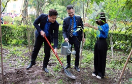 Tuổi trẻ VTV tham gia trồng cây tại Vườn cây ơn Bác