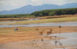 Nhiều suối, hồ chứa ở Bà Rịa - Vũng Tàu đang ở mực nước chết