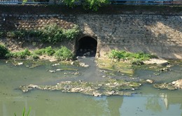 Đà Lạt: Suối Cam Ly ô nhiễm nặng