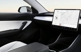 Tesla sắp ra mắt robot taxi