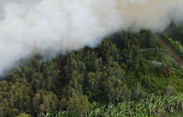 Cháy rừng tại Cà Mau, 40 ha bị thiêu rụi