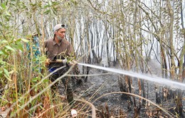 Kiên Giang: Kịp thời dập tắt liên tiếp 2 vụ cháy rừng