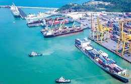Chuyển đổi số cảng biển giúp tiết kiệm chi phí cho doanh nghiệp