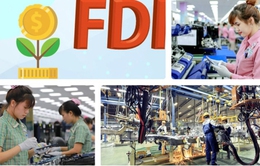 Sớm hoàn thiện hạ tầng, chính sách hỗ trợ FDI xanh