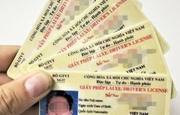 Hà Nội sắp có thêm 2 điểm cấp đổi giấy phép lái xe