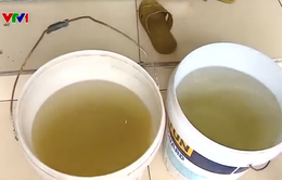 Nhiều vùng ở Tiên Lãng, Hải Phòng phải dùng nước máy bẩn, có mùi hôi tanh