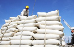 Giá gạo Ấn Độ chạm đáy của gần 3 tháng