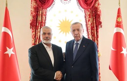 Tổng thống Thổ Nhĩ Kỳ gặp thủ lĩnh Phong trào Hồi giáo Hamas để thảo luận về tình hình ở Gaza