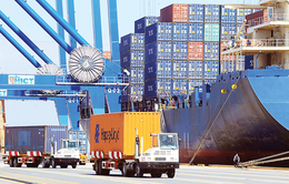Logistics xanh: Hành trình còn nhiều thách thức