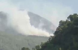 Cháy rừng dài khoảng 7 km tại Hà Giang