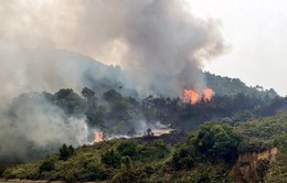 Nắng nóng diện rộng, nguy cơ cao xảy ra cháy rừng