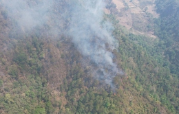 Hơn 42 ha rừng phòng hộ bị ảnh hưởng sau vụ cháy rừng tại Điện Biên