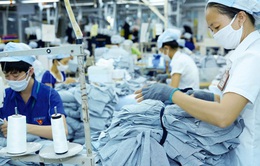 Lao động Việt Nam đang thu hút doanh nghiệp châu Âu