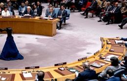 Xem xét kết nạp Palestine làm thành viên chính thức của Liên hợp quốc