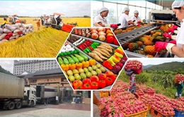 Nâng tầm logistic để hàng hóa Việt mở rộng thị phần tại Trung Quốc