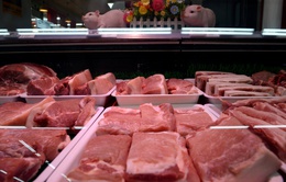 Sẽ xây dựng sàn giao dịch hàng hóa chuyên biệt cho thịt lợn