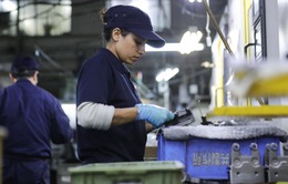 Dự luật sửa đổi về hệ thống lao động nước ngoài tại Nhật Bản