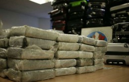 Venezuela bắt giữ nghi can liên quan vụ vận chuyển cocaine