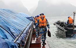 Vùng Cảnh sát biển 4 bắt giữ hai tàu sang mạn dầu trái phép