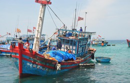 Ngư dân tỉnh Quảng Trị, Quảng Ngãi quyết tâm bám biển