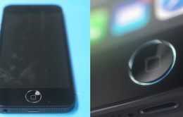 Thêm bằng chứng khẳng định iPhone 5S sẽ có bảo mật vân tay