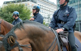 Cảnh sát ngựa tại Vương quốc Bỉ 