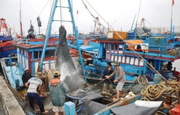 Quảng Bình: Hỗ trợ ngư dân khai thác vùng biển xa