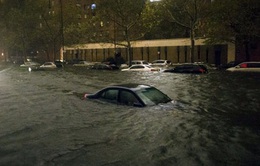 Cẩn thận mua nhầm xe hỏng do bão Sandy