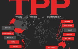 Đàm phán TPP đang tiến đến giai đoạn then chốt