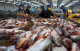 Mỹ điều chỉnh thuế nhập khẩu đối với cá tra Việt Nam