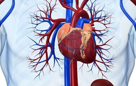 Viêm cơ tim cấp - Một số điều bệnh nhân cần biết