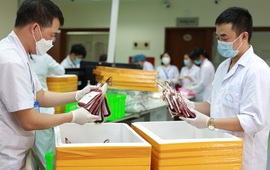 Kỷ lục cung cấp gần 3.000 đơn vị máu khắp cả nước trong một ngày